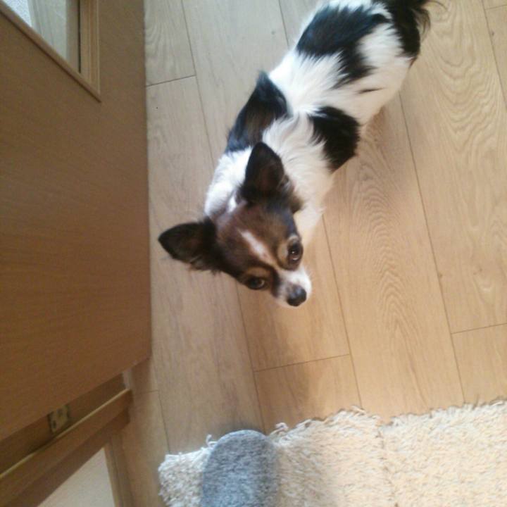 0b953123 5263 4bf5 9cc7 1a6907f8ce19