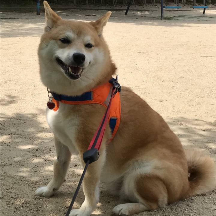 0b953c93 3c47 4226 968f dcceb9b2cf8d