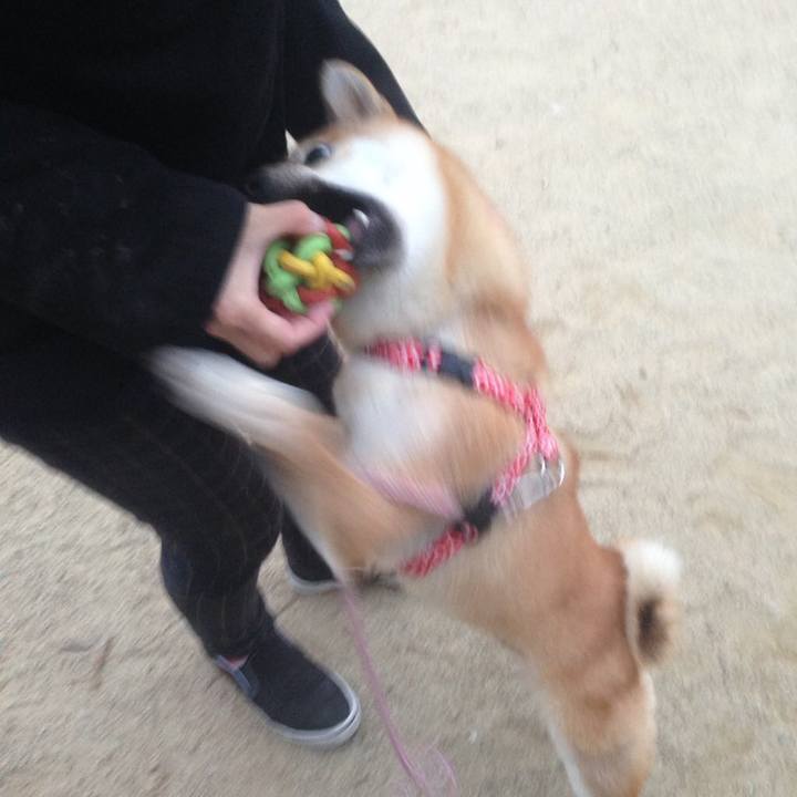 0b9569c1 60a9 47ea 99b3 57221cdbed28