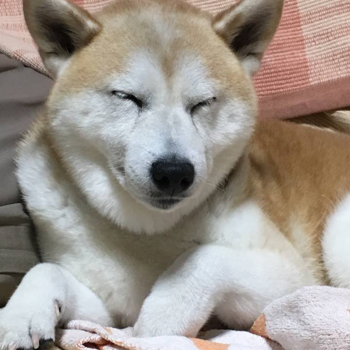 0b95fa8a 9e63 4f2c 8b1d 84c22bfca334