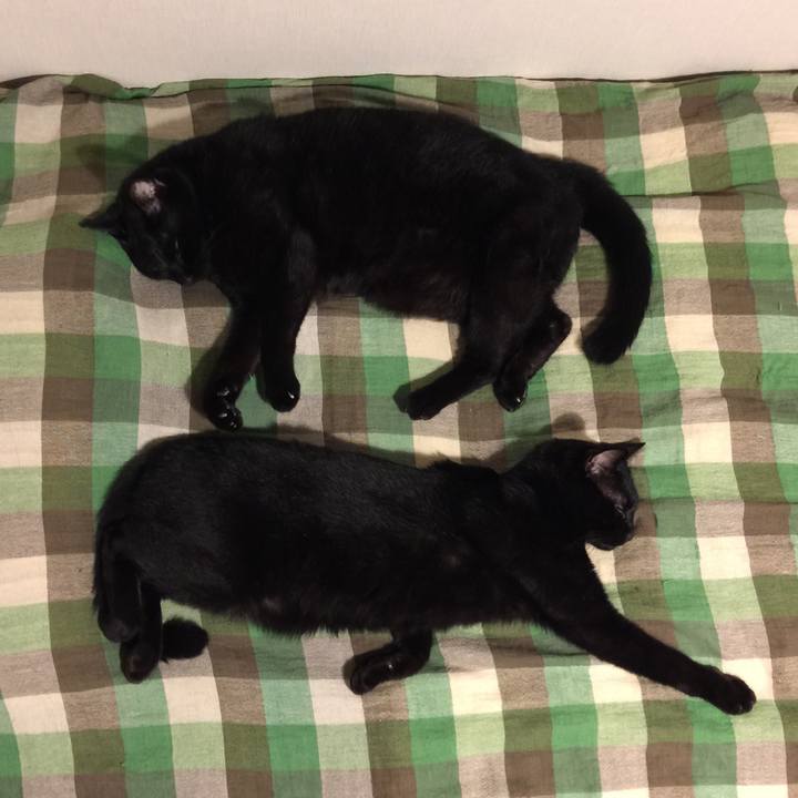 0b962eeb 92ae 4927 a0f3 37f1dee311e4