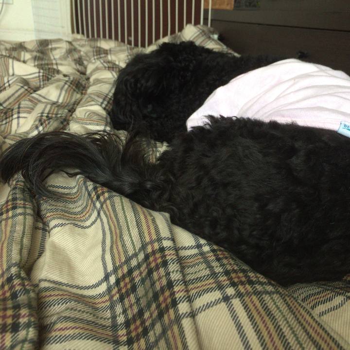 0b966f2a 2e68 4d9d 9c44 429a28ba240d