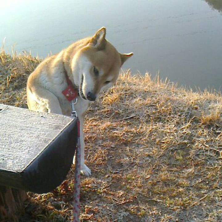 0b97ef87 21b9 4291 9084 7b47e95f0d8f