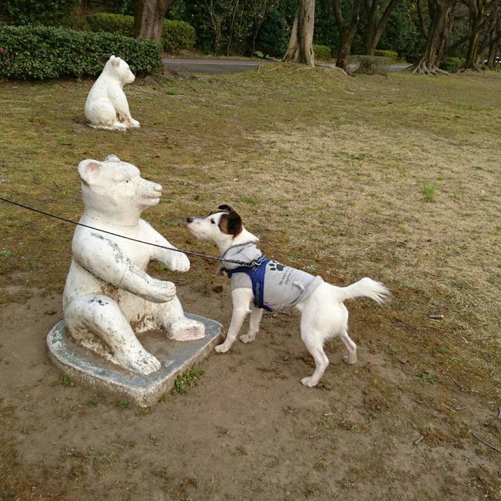 0b97f3df 6d5f 475d b5d4 e43a487079ac