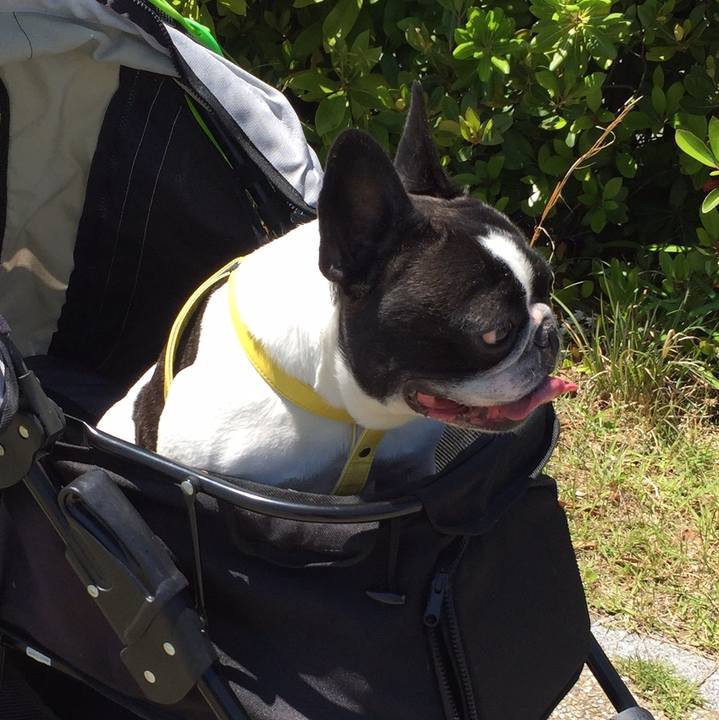 0b988e43 7b4c 45f8 96fd d8e8fcaeac5d