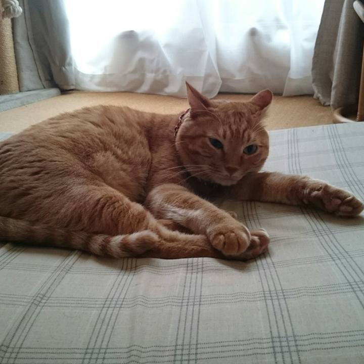 0b98ba9a 445b 4016 892d 7ce806c017b3