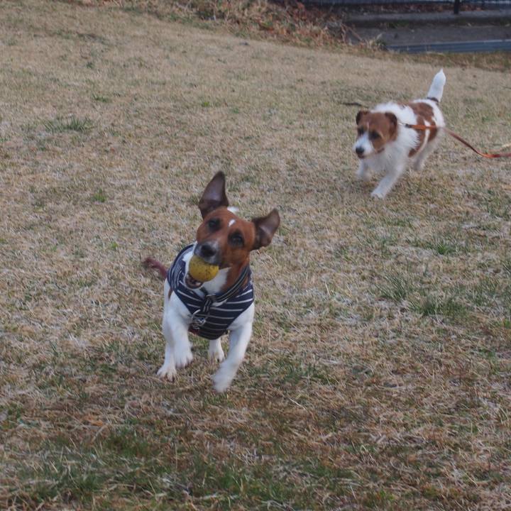 0b98cac5 93dd 41d0 80af 740d001b77e8