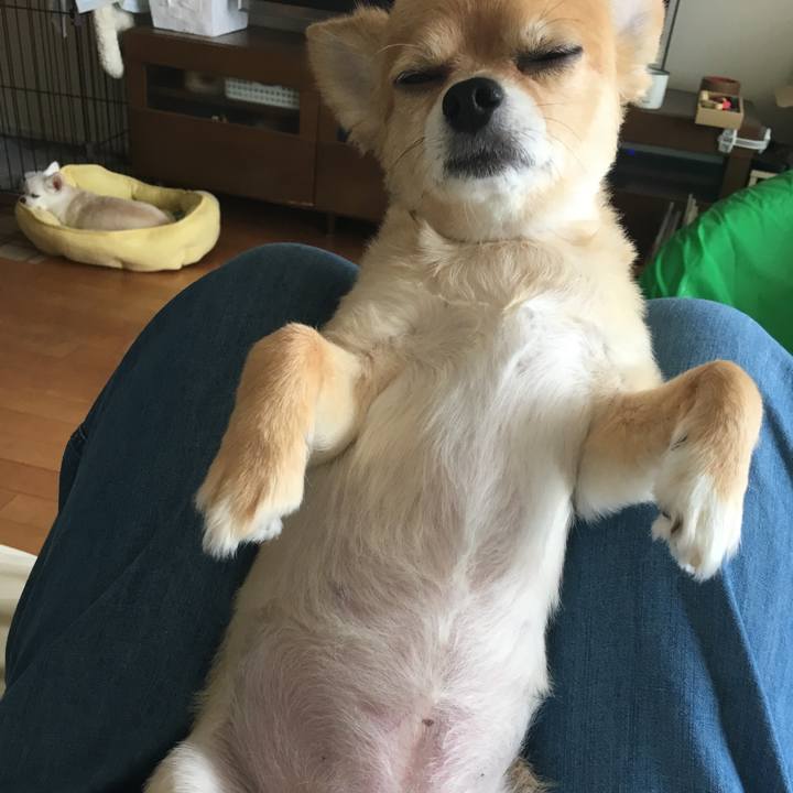 0b98e02b c87a 4b41 b566 42ccf9e6a387