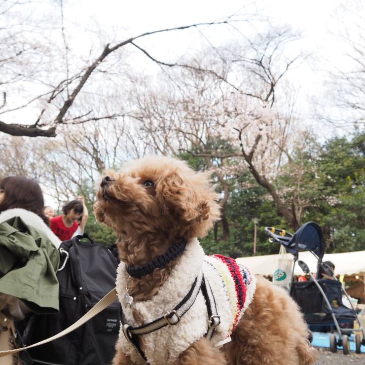 0b98ef88 9697 45d2 af84 ea626012caf0