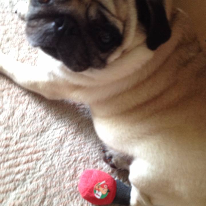 0b9914b9 70cb 4787 b266 2907836232f9