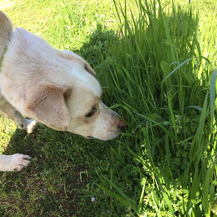 0b99463e 1ae3 4e50 b295 dc7938d99b65