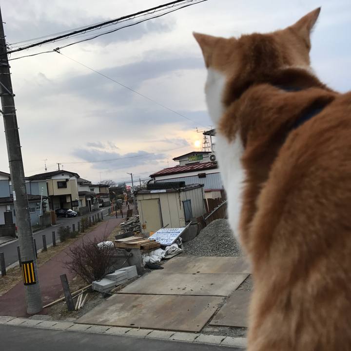 0b9971de 5c3b 487b aa29 c219741c8b01