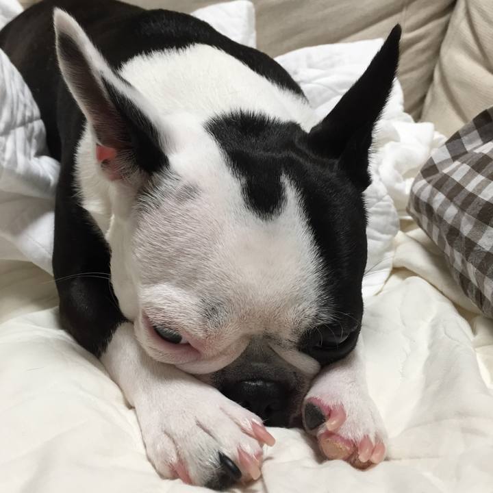 0b99796e 5cd3 4c14 87d5 8c3f96fad5b0