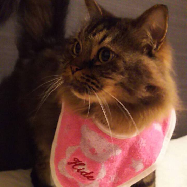 0b9a1420 9325 4012 9291 921933298fd2