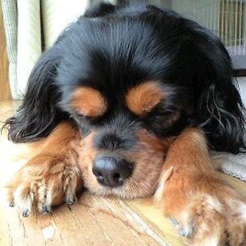 0b9a3f6a fe39 467d 942c 83942c2c147a