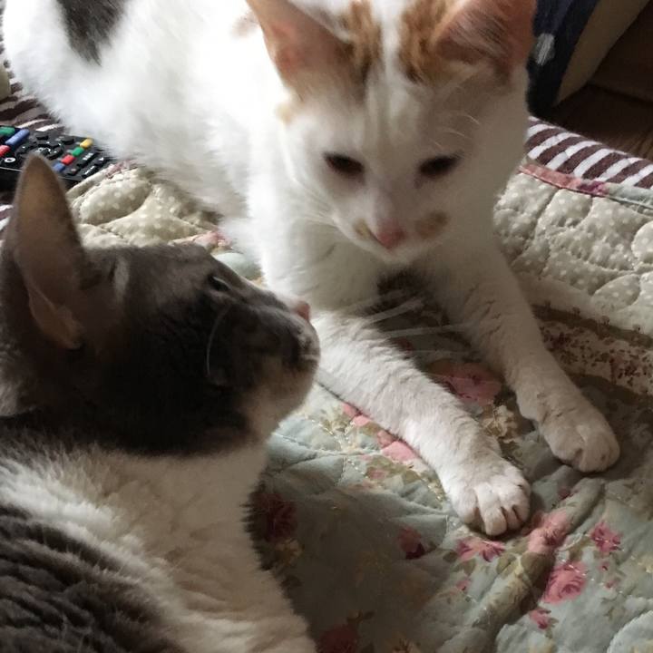 0b9a63eb 712d 47ac 8875 102073c6226a