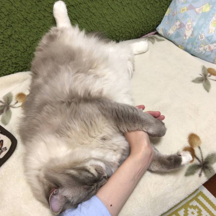 0b9ae5ec 7289 4764 93f8 e0b9f6ecc0dc