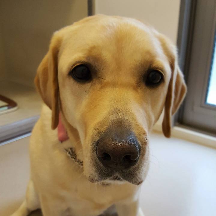 0b9b1abf 067a 44d0 b2f7 e5581babee63