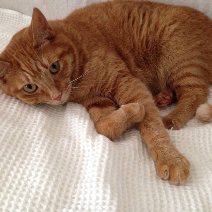 0b9c257e 3084 4dad b6c0 4f3b7f0b4597