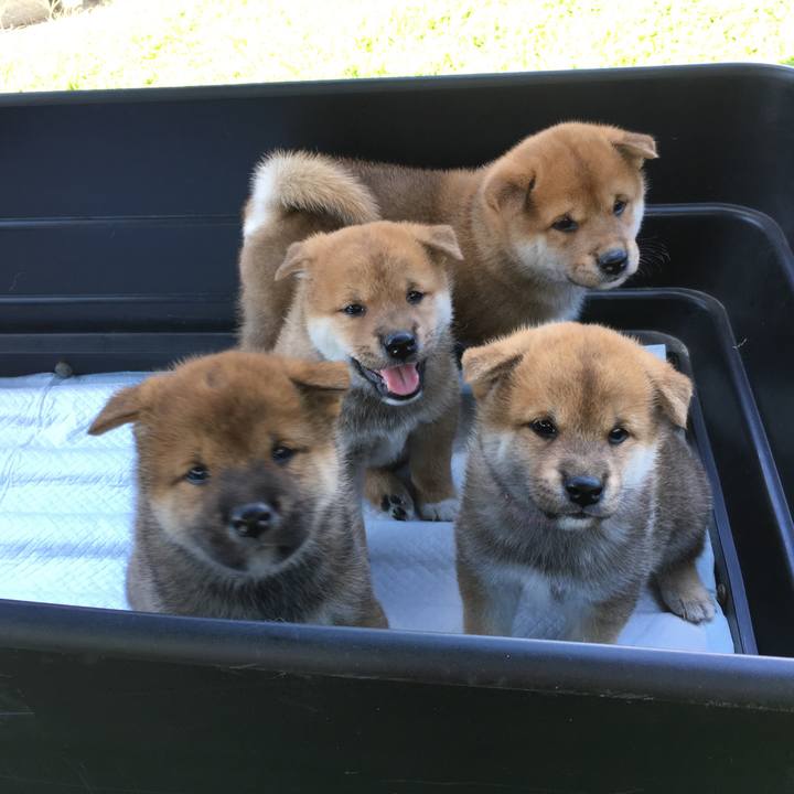 0b9c4bd8 6bdc 405e 82eb ffb5176c47ef