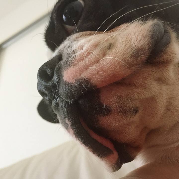 0b9c7c98 ac9d 4fad b5b8 18efd2e1a78e