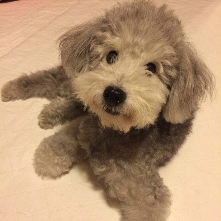 0b9cd029 6d88 4ee5 8db5 7f9297377cb7