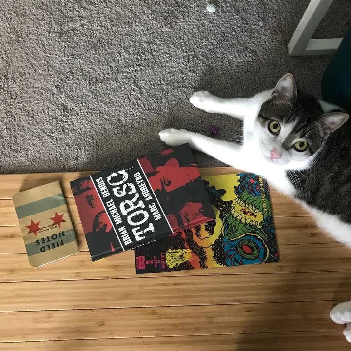 0b9cefae 698e 4978 90bd 49b8bdabb1fa