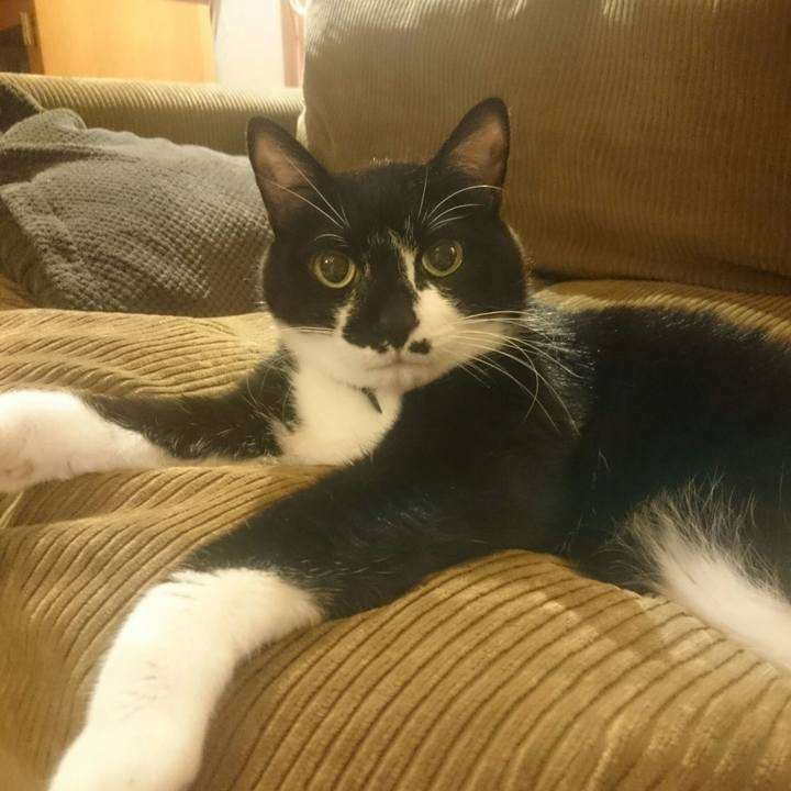 0b9cf430 8b47 47ae 9913 0a19e3f6b022