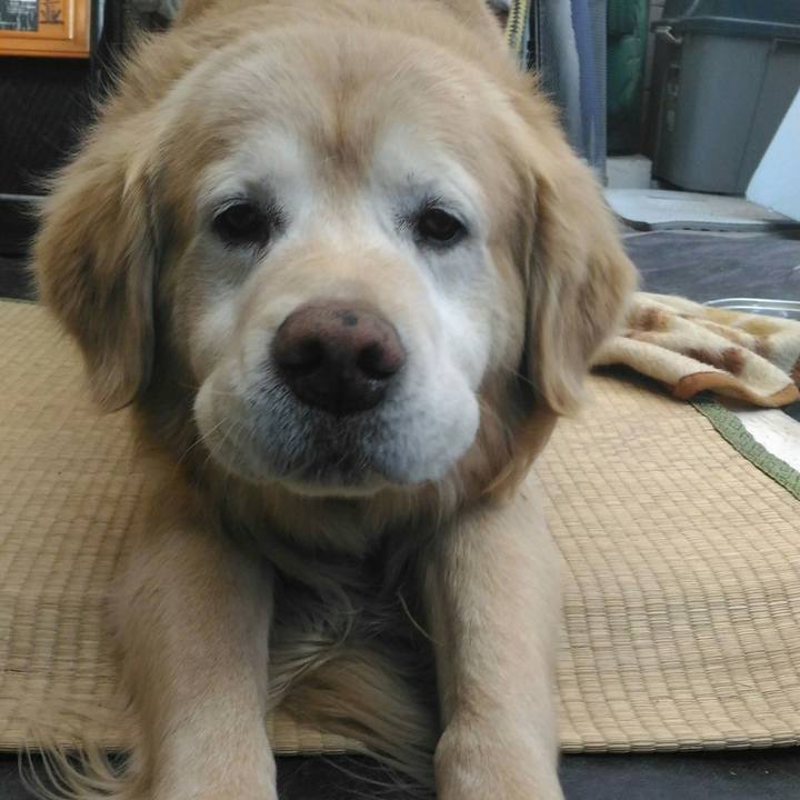 0b9d355f 92c0 4e17 b910 51b99679c7a9