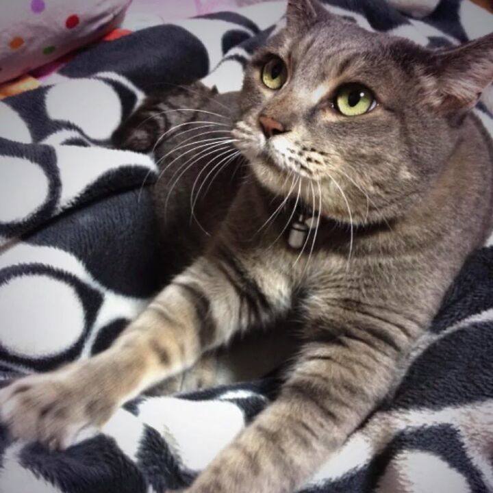 0b9df4f9 84f3 4ce1 81ed f82d21efb13c