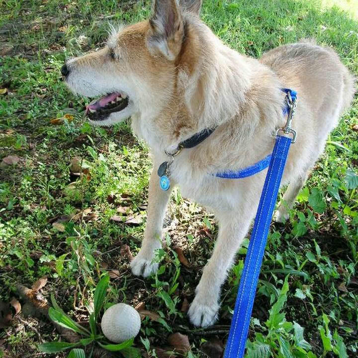 0b9e52d0 e054 4c9c bea4 d98e534a91ca