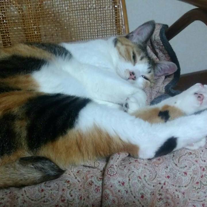 0b9eac88 1770 43ae b562 6cf0e121117f