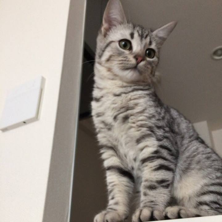 0b9f0252 fba4 4d59 aab0 a4efa07ddff1