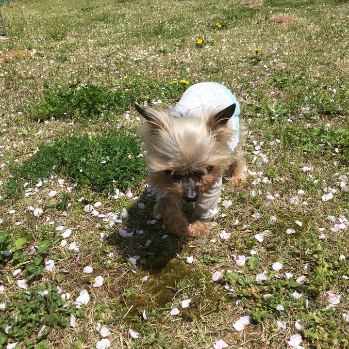 0b9f274b c514 43ee a9f9 60cf6c54fee1