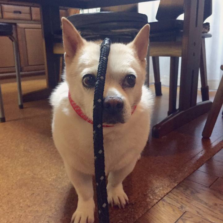 0b9fb083 8489 4c12 ac64 856807b259ea