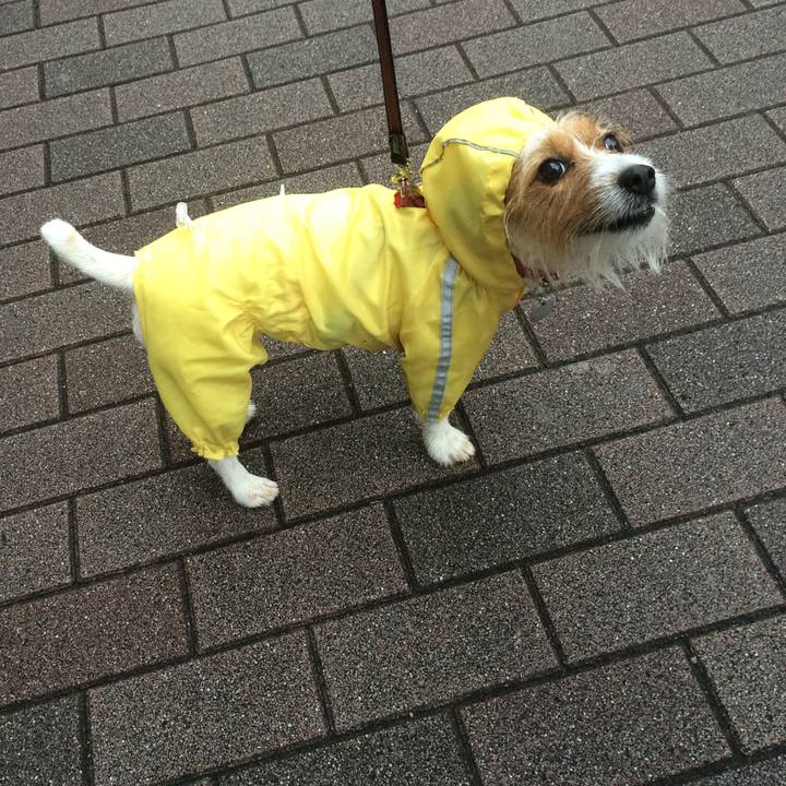 0ba237dc 3177 4e05 b842 91a62fc89749