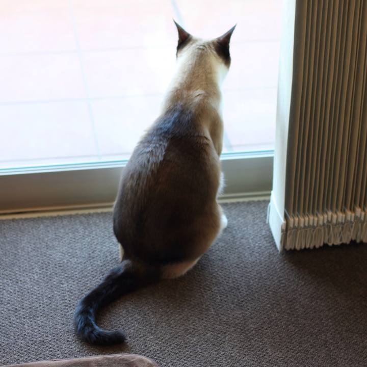 0ba2b81c d28d 41e6 b337 22368efda7db