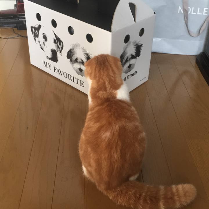 0ba2e265 15d9 4544 a08d e933c5ee78a6