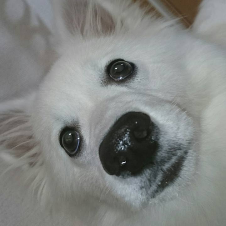 0ba2fffd f21f 4fa2 96e6 f2bb408d9b97