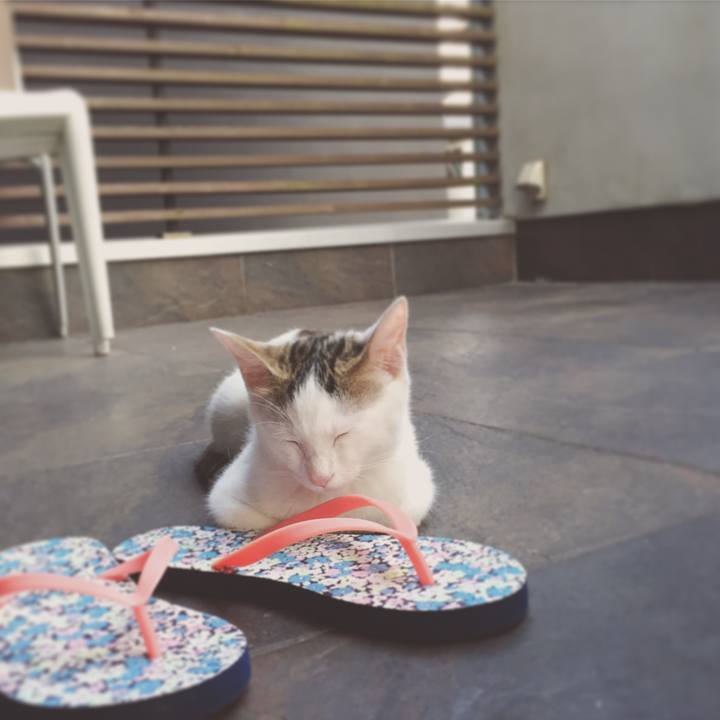 0ba3e815 ea43 42fe 9fed e526d4c6d9f9