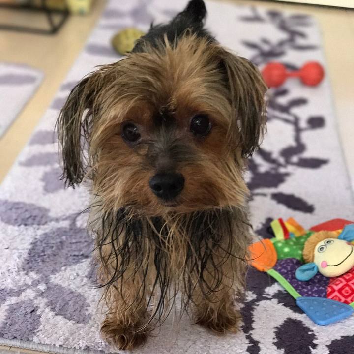 0ba513de 4494 4893 b0ac e6eff987a659