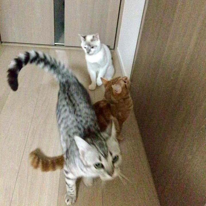 0ba5543d 66a2 4770 b0db afcc713b5428