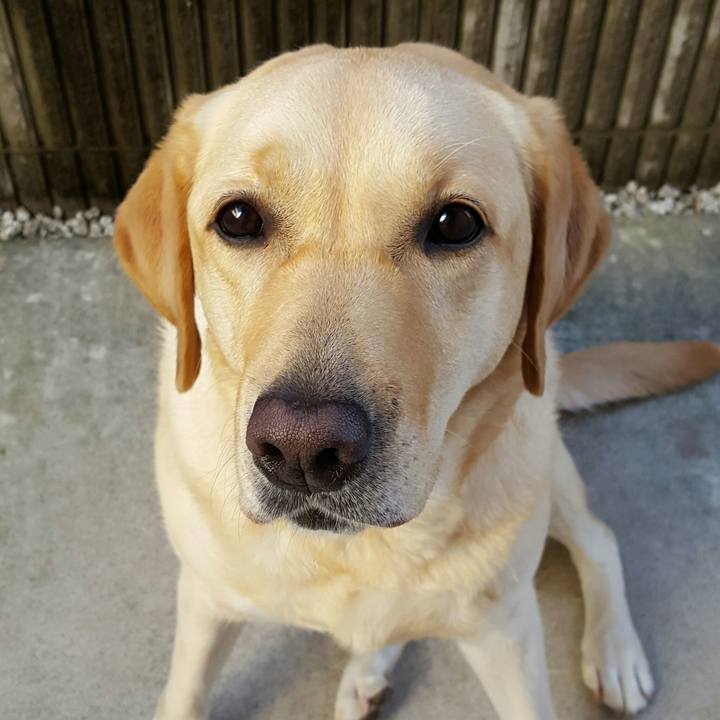 0ba557e5 c9aa 498b b3b8 815a558aaaa6