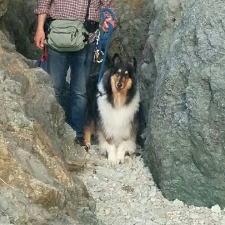 0ba5b387 c939 4ec8 86d5 96c73686bb1b