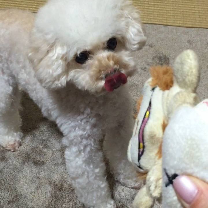 0ba5c274 b182 4db5 8f77 f31db56dccf5