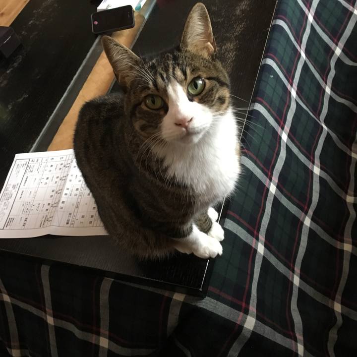 0ba61d02 0839 44f0 9574 56dc0cf4ce4a