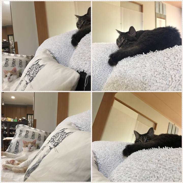 0ba6a8d2 6b07 446e 893e 7276797a7291