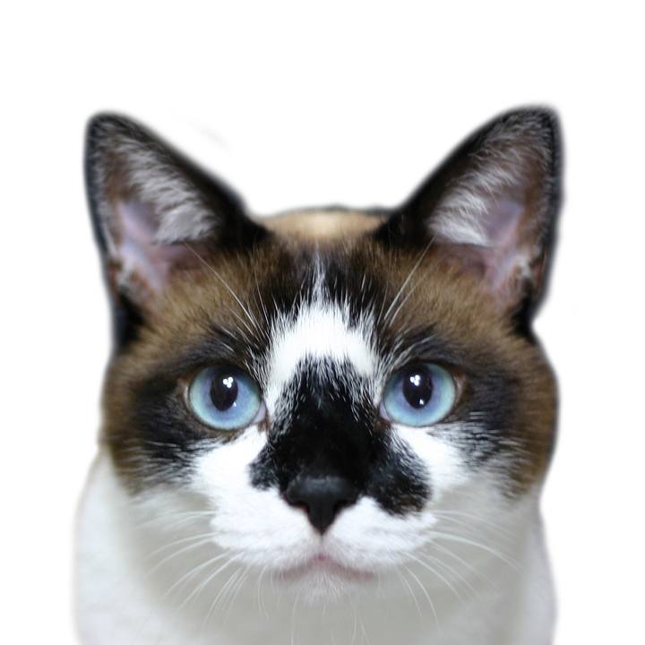 0ba6ca1f 4040 4974 959c 1ad5be3bf977