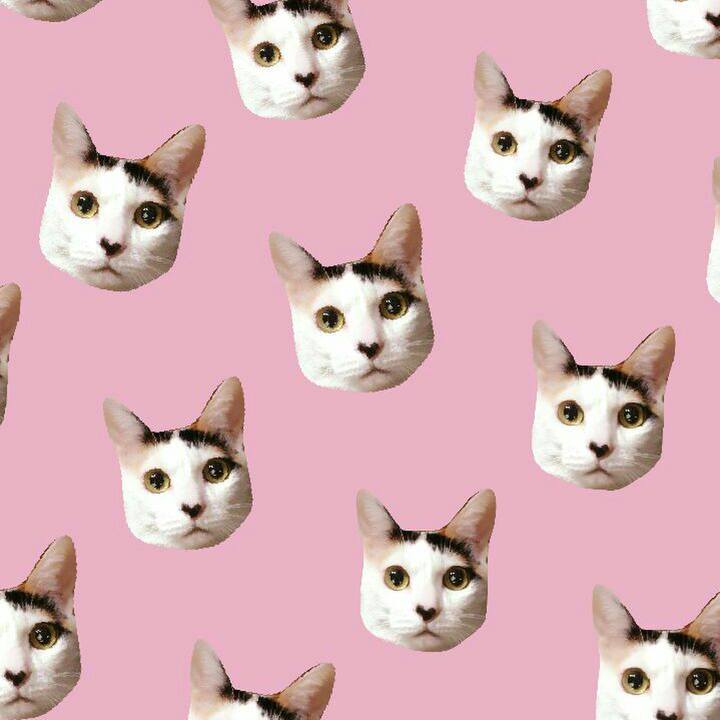 0ba76c6b eb56 40ab bb10 861c82c53d3b