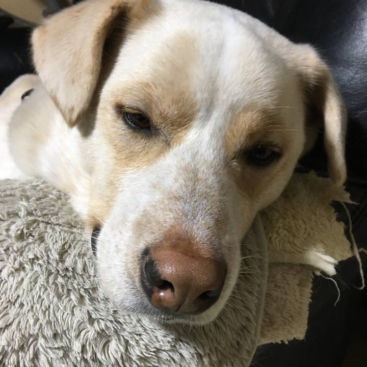 0ba7af02 1964 417b 8f11 1109200ccb25